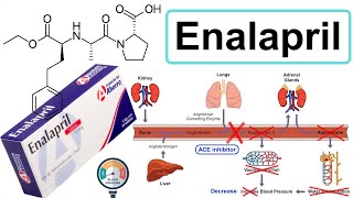 enalapril [upl. by Odanref323]