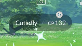 Shiny Cutiefly  Unreleased Shiny ✨ Pokémon Cutiefly  Pokémon Go [upl. by Nytsirk]