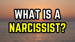 What is a Narcissist 8 Key Traits [upl. by Emiatej]