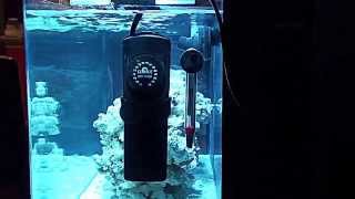 Product Review Cobalt NeoTherm Submersible Heater [upl. by Noiek203]