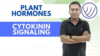 CYTOKININ SIGNALING  PLANT HORMONES  BY NILESH SONI [upl. by Khorma]