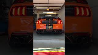 1400hp 2020 GT500 Whipple 38L Supercharged  Cold Start on E85 [upl. by Acacia]