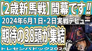 【2歳新馬戦2024】開幕です！期待の若駒38頭の勇姿を！・2024年6月1日2日実戦デビュー！トレセンパドック2024 （掲載馬は概要欄を参考に） [upl. by Oirottiv]