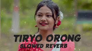 New Santali Tiryo Orong kuraSlowed Reverb SongSantaliLofi [upl. by Anoyek899]