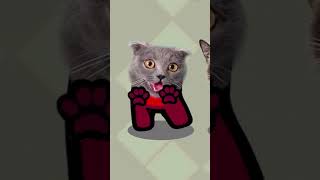 Cat Kick Cat after dancing lambada [upl. by Devitt]