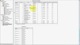 SPSS VideoSeminar  Teil 7 Dateneingabe  Aufgabenblatt Fragebogen B Eingabe [upl. by Suvart]