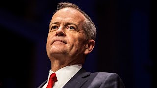 Bill Shorten claims Senate Estimates questions were made with AI [upl. by Aurelie]