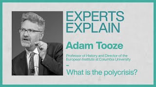 Experts Explain  Adam Tooze  What is the polycrisis [upl. by Ettinger]