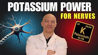 The Surprising Power of Potassium for Nerves  The Nerve Doctors [upl. by Eiruam632]