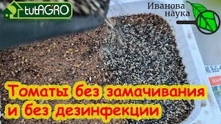 ПОСЕВ ТОМАТА НА РАССАДУ без замочек и заморочек СЕЙТЕ ТОМАТЫ ТОЛЬКО ТАК  РАССАДА ОЧЕНЬ КРЕПКАЯ [upl. by Holmes]