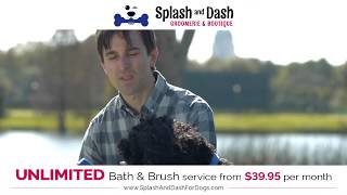 Splash and Dash for Dogs TV Spot [upl. by Drallim84]