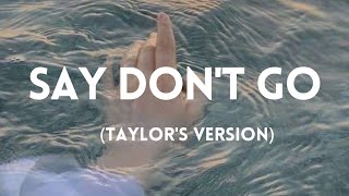 TAYLOR SWIFT  say dont go from the vault taylors version lyrics [upl. by Hegyera]