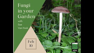 Fungi in Your Garden [upl. by Asilenna]