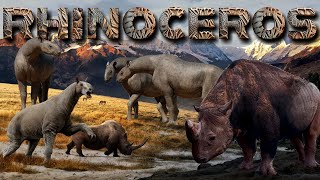 Evolution of RHINOCEROS [upl. by Ailido]