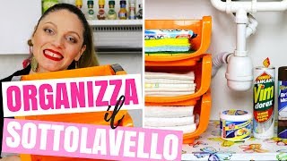 COME ORGANIZZARE IL SOTTOLAVELLO 10 IDEE PER TENERE IN ORDINE IL SOTTO LAVANDINO  CASA ORGANIZZATA [upl. by Airtap]