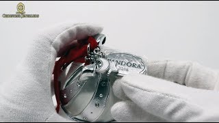 UNBOXING PANDORA LIMITED EDITION CHRISTMAS CHARM amp ORNAMENT SET B800999 [upl. by Eciryt685]