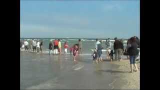 Dänemark  Skagen SkagerrakNordsee und KattegatOstsee prallen zusammen spektakuläres Wellenspiel [upl. by Boleyn]