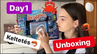 Aqua Dragons UNBOXING🦐💦 [upl. by Oirom]