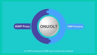 📺 Como funciona IGMP  Multicast IGMP SnoopingProxy Protocol📺 [upl. by Eilesor]