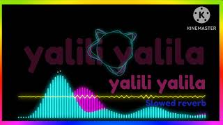 yalili yalila full song slowed reverb best song yalili yalila [upl. by Grantland]