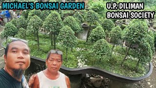 MICHAELS BONSAI GARDENUP DILIMAN BONSAI SOCIETY [upl. by Neroled]