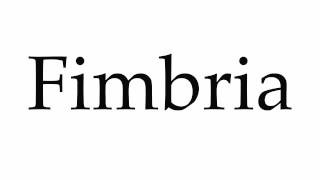 How to Pronounce Fimbria [upl. by Joane]