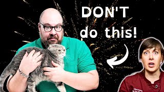 CAT Scared of Fireworks 4 Tips to Avoid AND Fix it Tip 4 is SHOCKING  VET ADVICE [upl. by Acnairb]