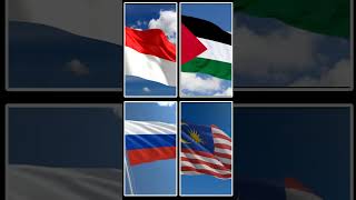 Jedag jedug bendera Indonesia Palestina Rusia Malaysia shortsbendera [upl. by Eanad667]