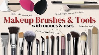 Makeup Brushes Guide for Beginners amp Professional Artists With Demonstrations [upl. by Ecnaled]