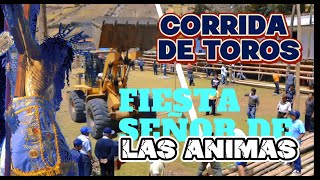 Fiesta del 𝓢𝓮𝓷̃𝓸r 𝓭𝓮 𝓵𝓪𝓼 𝓐́𝓷𝓲𝓶𝓪𝓼  Corrida de Toros CONCHUCOS  PALLASCA  ANCASH [upl. by Ulric172]