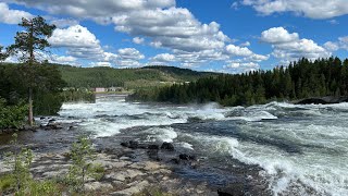 Amazing Storforsen  The largest waterfall in Sweden  July 2024 [upl. by Arissa]