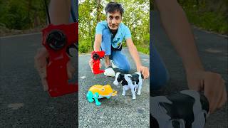 Rc Remote Control Cow 🐄 And Frog testing 😜 [upl. by Nitas930]