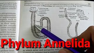 Phylum Annelida in HindiUrdu [upl. by Ecissej718]