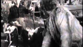 Randolph Scott Buffalo Stampede FULL MOVIE [upl. by Helman660]