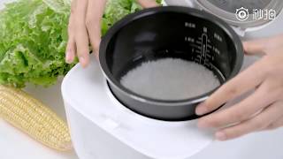 Xiaomi Mijia Rice Cooker 16L [upl. by Macknair]