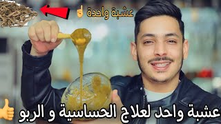 عشبة واحدة تعالج وتقضي على الحساسية الربو وضيق التنفس لصغار والكبار😱👍 [upl. by Det]