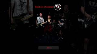 Punk Rock is back 🔪🥂 Feel it punkrock punk poppunk music livemusic shorts rock [upl. by Eilegna243]