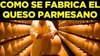 Descubra la mayor fábrica de parmesano  Así Se Fabrica El Queso Parmesano [upl. by Herbie369]