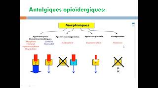 cour14 les antalgiques [upl. by Kenney]