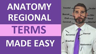 Regional Terms Anatomy  Body Parts Name  Nursing Medical Terminology Made Easy [upl. by Akemed]