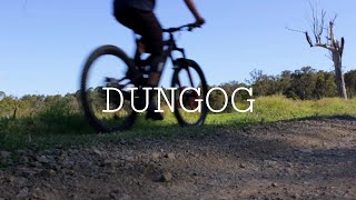 DUNGOG  Daniel Scobie [upl. by Atteynod]