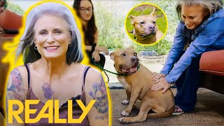 Potential Adopter Instantly Falls In Love With Stray Dog Kiesha  Pit Bulls amp Parolees [upl. by Vanna]