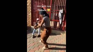 Bacardi Dance Moves 💃🔥🙌🏾 barcadi amapiano [upl. by Atnek]