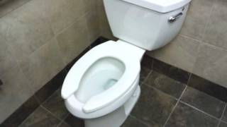 Bathroom Tour Kohler Toilet and Urinal at Kmart [upl. by Fretwell]