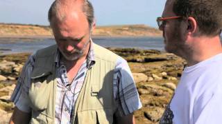 Simons Wight Isle of Wight Fossil Hunting Pt 3 [upl. by Menedez]