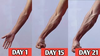 How to get veiny forearms at home  21 days challenge [upl. by Aicnorev]