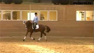 Dressage Exercise  Changes in pace [upl. by Norse798]