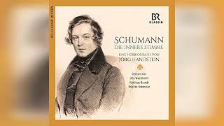 Review Robert Schumann Die innere Stimme Robert Schumann The Inner Voice  by Jörg Handstein [upl. by Animaj188]