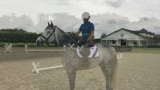 At Home With Glenbeigh Farm  Cavaletti Exercises  Show Jumping Training Tips [upl. by Brok701]