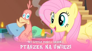 My Little Pony  Sezon 1 Odcinek 22  Ptaszek na uwięzi [upl. by Deragon]